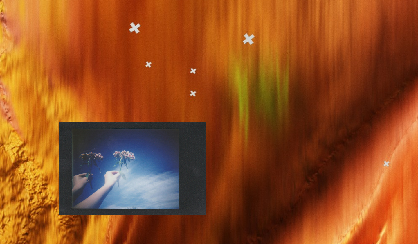 Color Polaroid photo of two hands holding flowers against a bright blue sky, set on an orange abstract background with small white X marks scattered across it.